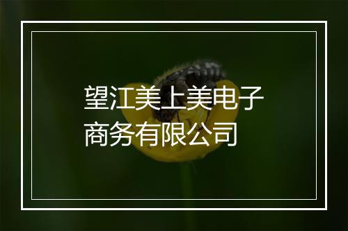 望江美上美电子商务有限公司