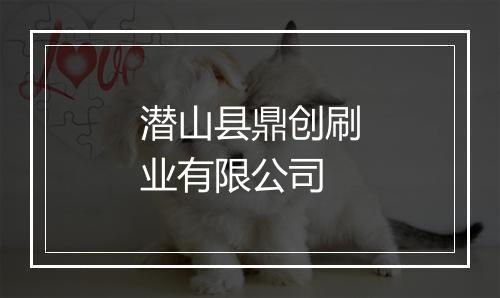 潜山县鼎创刷业有限公司