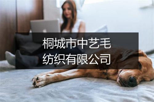 桐城市中艺毛纺织有限公司