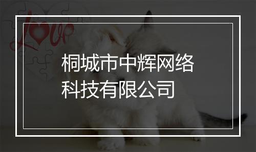 桐城市中辉网络科技有限公司