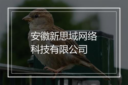 安徽新思域网络科技有限公司