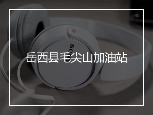 岳西县毛尖山加油站