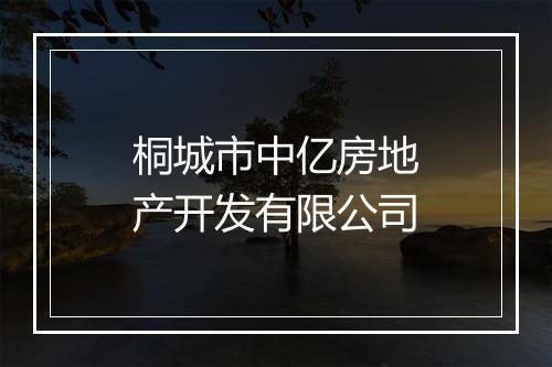 桐城市中亿房地产开发有限公司