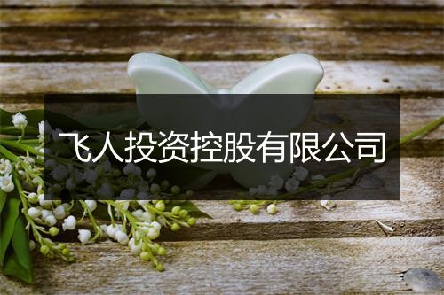 飞人投资控股有限公司