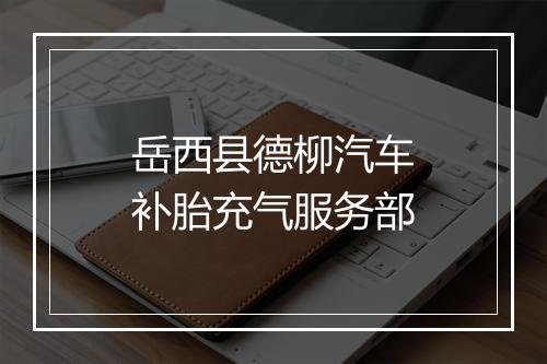 岳西县德柳汽车补胎充气服务部