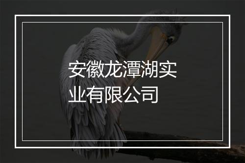 安徽龙潭湖实业有限公司