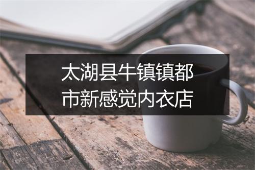 太湖县牛镇镇都市新感觉内衣店