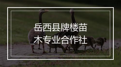 岳西县牌楼苗木专业合作社