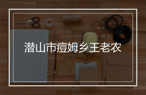 潜山市痘姆乡王老农