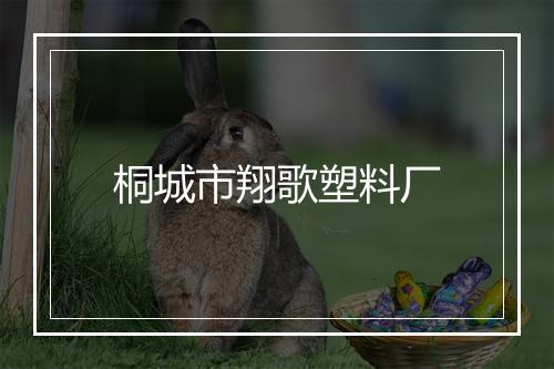 桐城市翔歌塑料厂