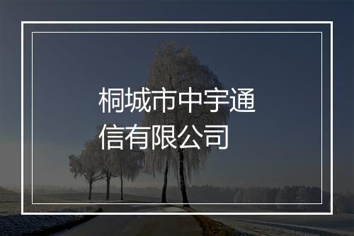 桐城市中宇通信有限公司