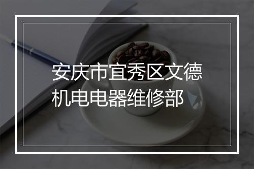 安庆市宜秀区文德机电电器维修部