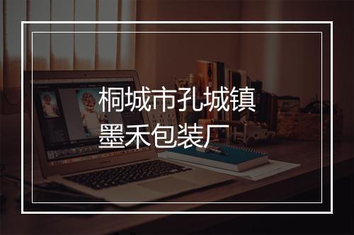 桐城市孔城镇墨禾包装厂