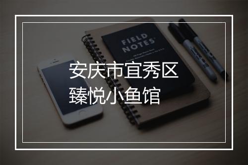 安庆市宜秀区臻悦小鱼馆