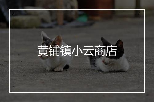黄铺镇小云商店
