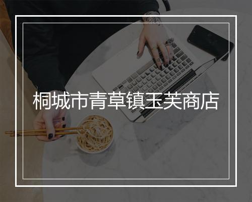 桐城市青草镇玉芙商店