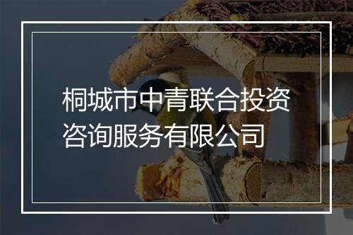 桐城市中青联合投资咨询服务有限公司