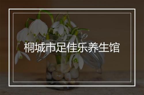 桐城市足佳乐养生馆