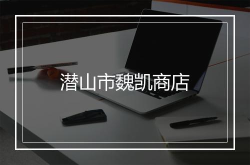 潜山市魏凯商店