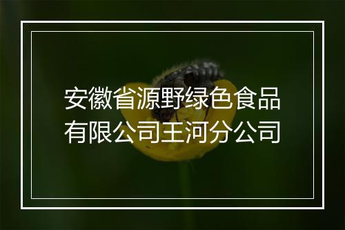 安徽省源野绿色食品有限公司王河分公司