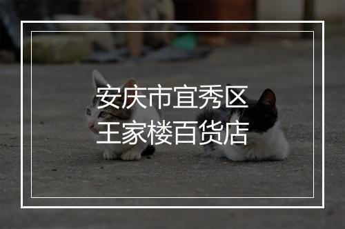 安庆市宜秀区王家楼百货店
