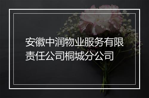 安徽中润物业服务有限责任公司桐城分公司