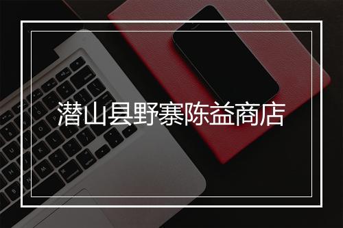 潜山县野寨陈益商店