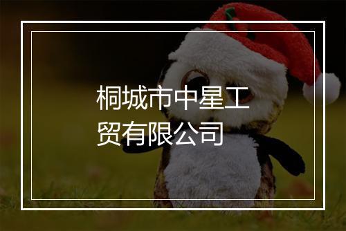 桐城市中星工贸有限公司