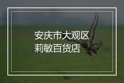 安庆市大观区莉敏百货店