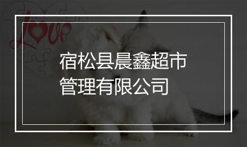 宿松县晨鑫超市管理有限公司