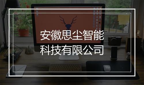 安徽思尘智能科技有限公司