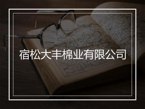 宿松大丰棉业有限公司