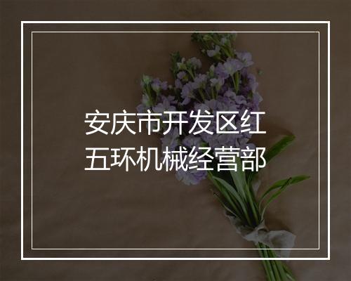 安庆市开发区红五环机械经营部