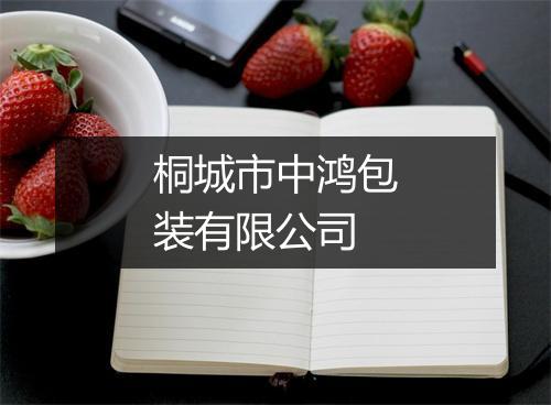 桐城市中鸿包装有限公司