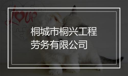 桐城市桐兴工程劳务有限公司