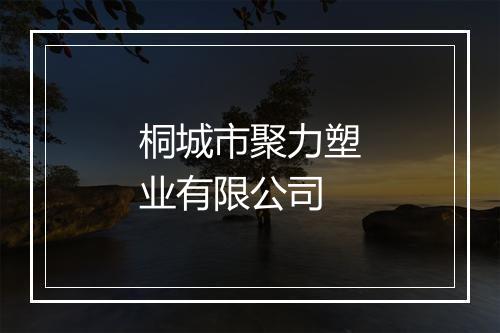 桐城市聚力塑业有限公司