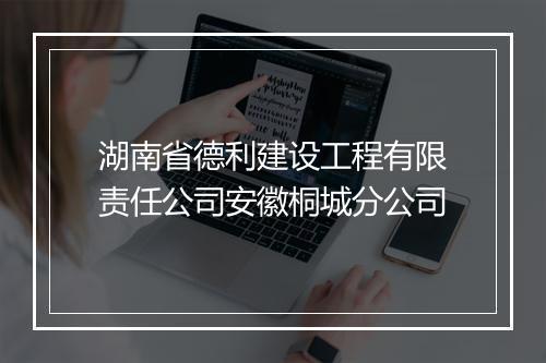 湖南省德利建设工程有限责任公司安徽桐城分公司