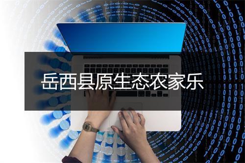 岳西县原生态农家乐