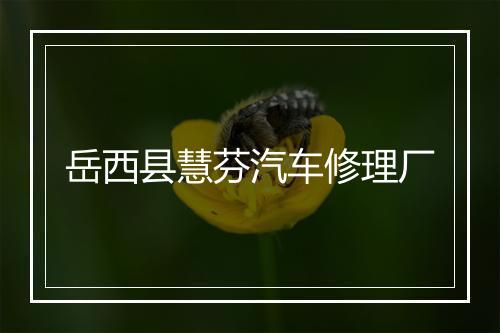 岳西县慧芬汽车修理厂