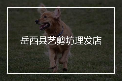 岳西县艺剪坊理发店