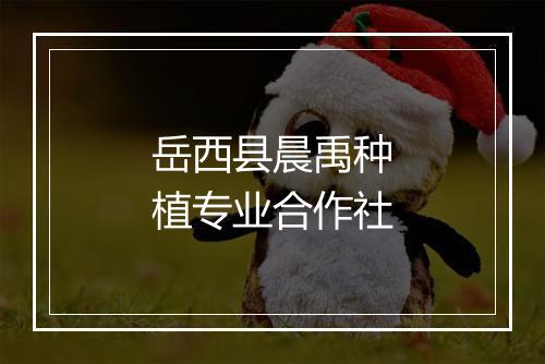 岳西县晨禹种植专业合作社