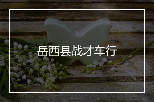 岳西县战才车行