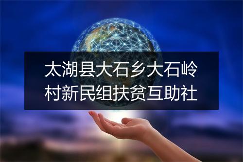 太湖县大石乡大石岭村新民组扶贫互助社