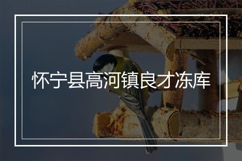 怀宁县高河镇良才冻库