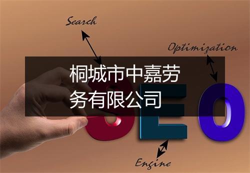 桐城市中嘉劳务有限公司