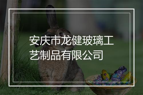 安庆市龙健玻璃工艺制品有限公司