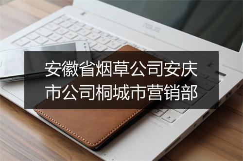 安徽省烟草公司安庆市公司桐城市营销部
