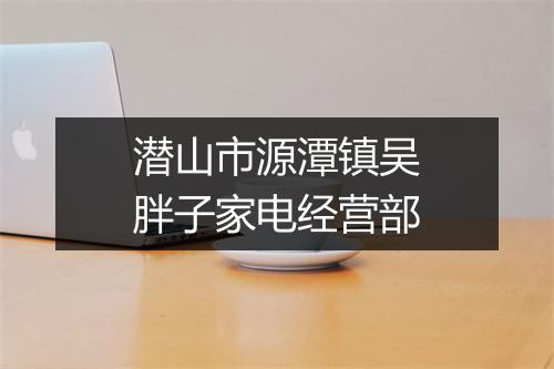 潜山市源潭镇吴胖子家电经营部