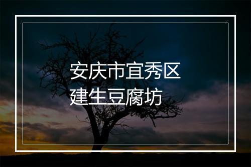 安庆市宜秀区建生豆腐坊