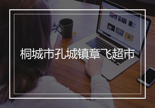 桐城市孔城镇章飞超市